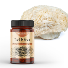 Lví hříva - Hericium