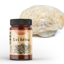 Lví hříva - Hericium