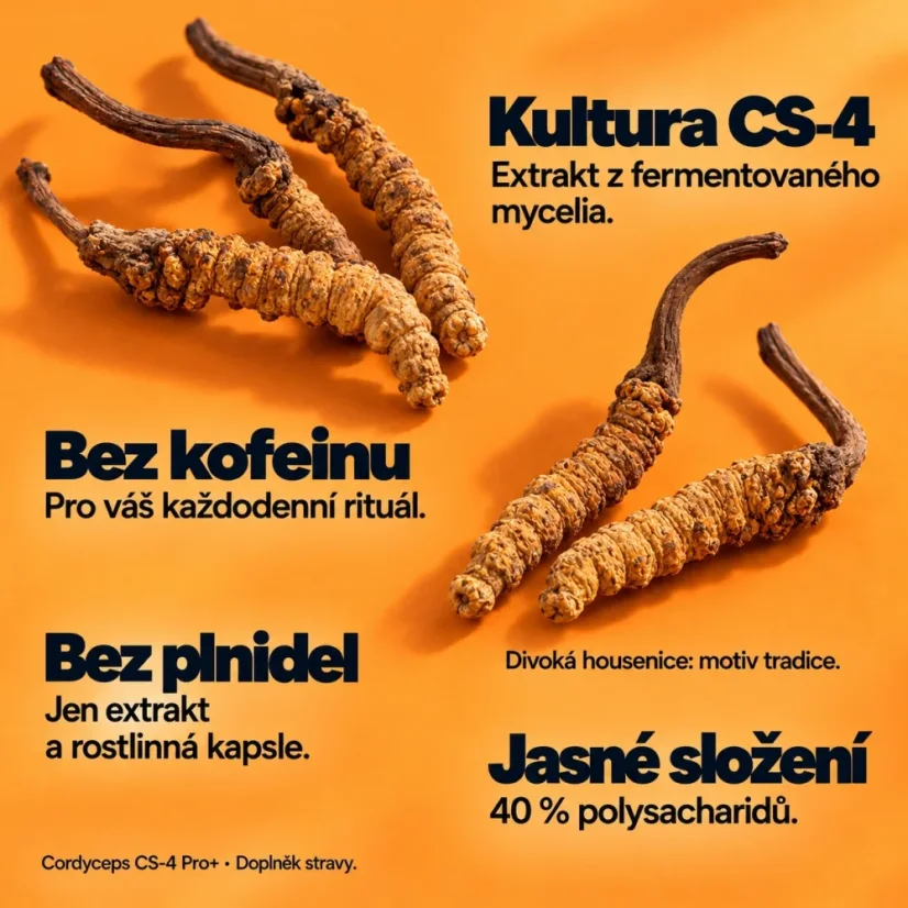 Cordyceps CS-4 Pro+