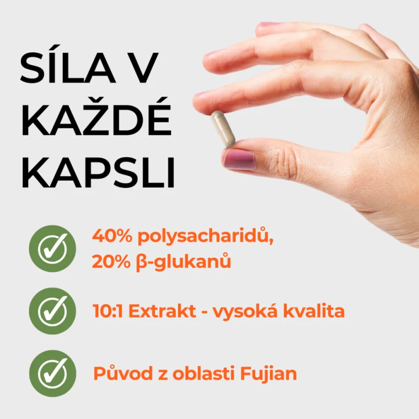 Chaga Pro+
