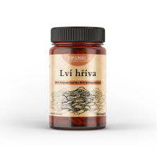 Lví hříva - Hericium