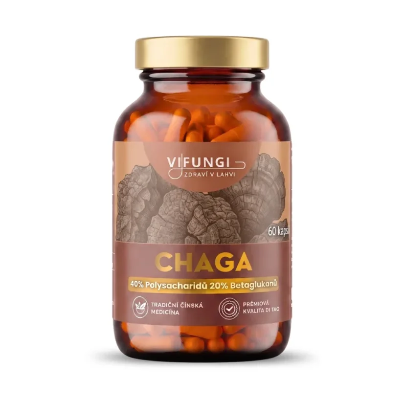Vifungi-Chaga-vizual.webp