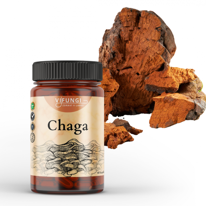 Chaga - Inonotus