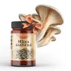 Hlíva ústřičná - Pleurotus