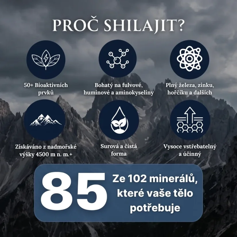 Himalájský Shilajit sušený 30 tablet