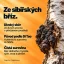 Chaga Pro+