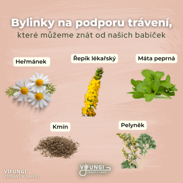 Bylinky na trávení podle babiček: Přírodní pomoc pro zdravá střeva