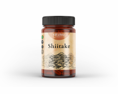 Shiitake - houževnatec