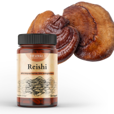 Reishi Ganoderma
