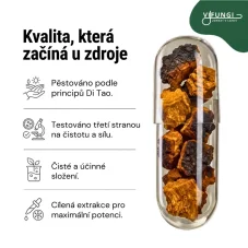 Chaga Pro+
