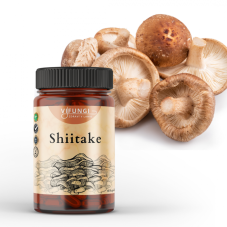 Shiitake - Houževnatec