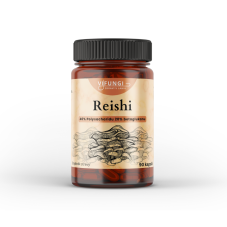 Reishi Ganoderma