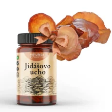 Jidášovo ucho - Auricularia
