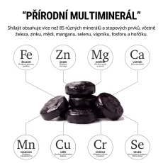 Himalájský Shilajit sušený 30 tablet