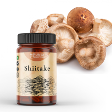 Shiitake - houževnatec