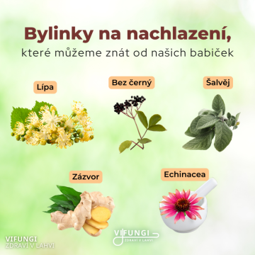 Bylinky na nachlazení podle babiček: Přírodní cestou