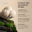 Hericium Pro+