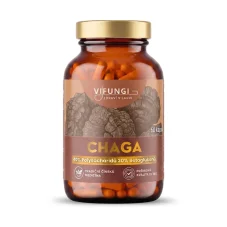 Vifungi-Chaga-vizual.webp Vifungi-Chaga-vizual.webp