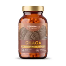 Vifungi-Chaga-vizual.webp Vifungi-Chaga-vizual.webp