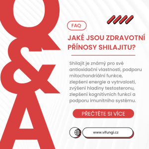 FAQ - Stále se nemůžete rozhodnout? Máme odpovědi na některé vaše otázky.