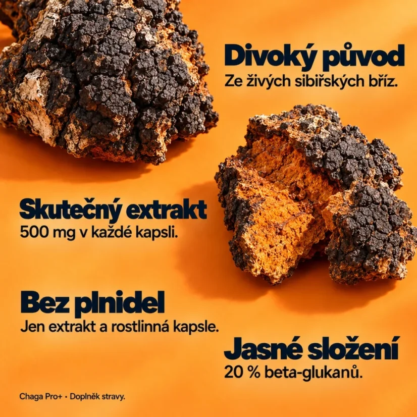 Chaga Pro+