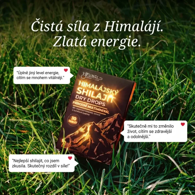 Himalájský Shilajit sušený 30 tablet
