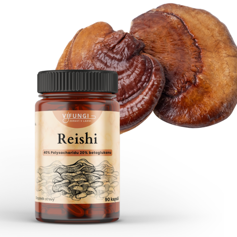 Reishi Ganoderma