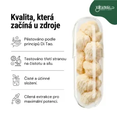 Vifungi-Hericium-erinaceus Vifungi-Hericium-erinaceus