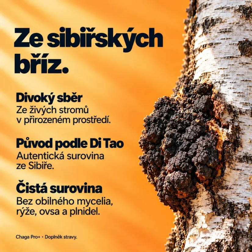 Chaga Pro+