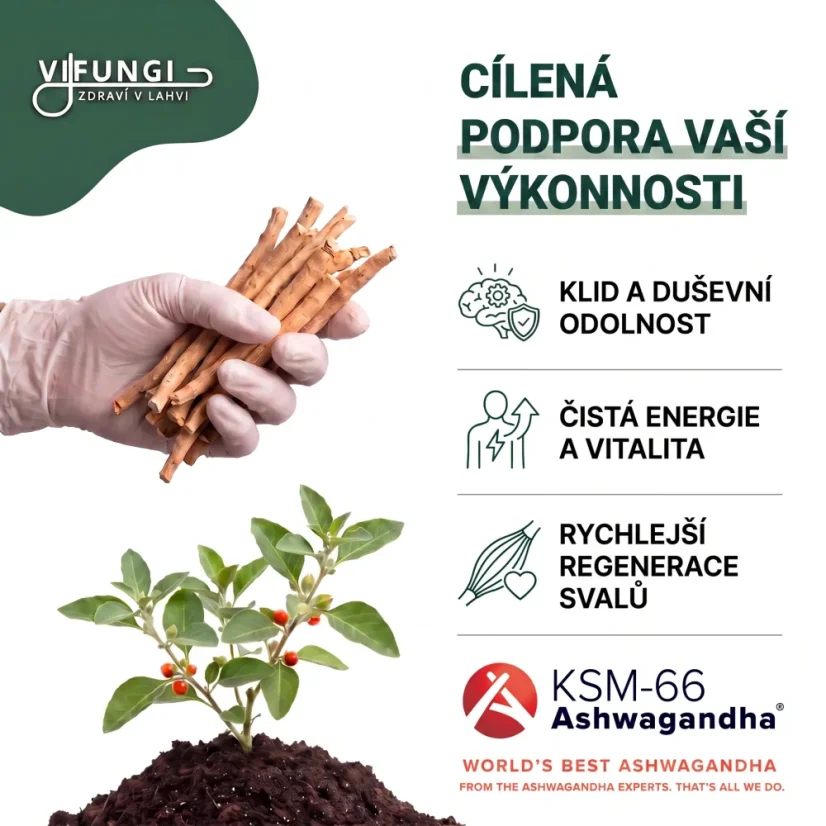 Ashwagandha KSM-66 ®