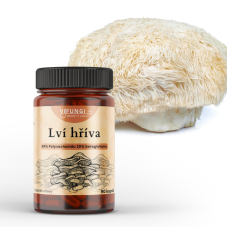Lví hříva - Hericium