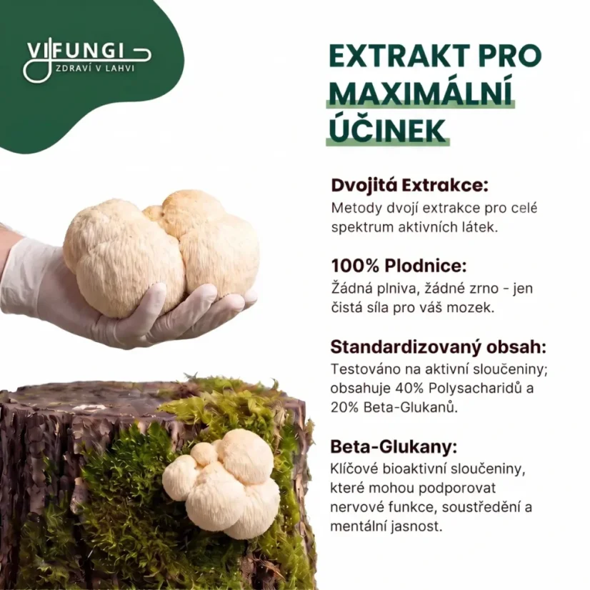 Vifungi-Hericium-erinaceus