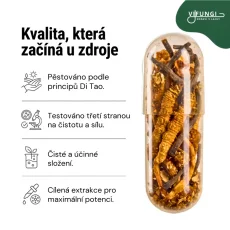 Cordyceps CS-4 Pro+