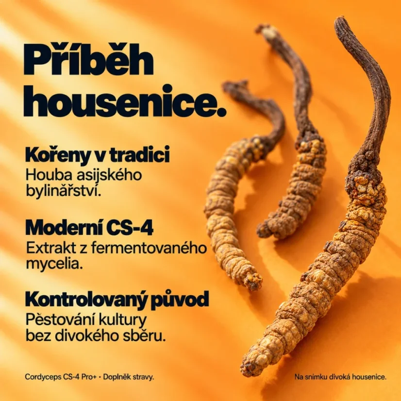 Cordyceps CS-4 Pro+