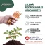 Ashwagandha KSM-66 ®