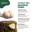 Vifungi-Hericium-erinaceus Vifungi-Hericium-erinaceus